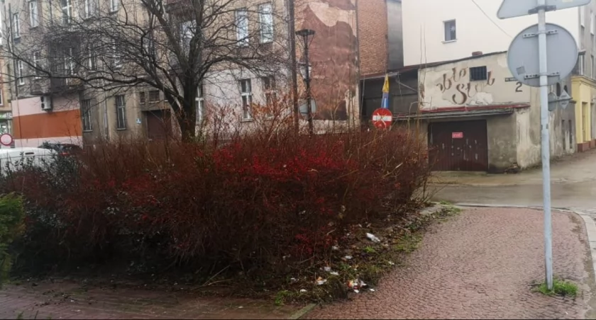 Mogłoby być ładnie, gdyby nie śmieci