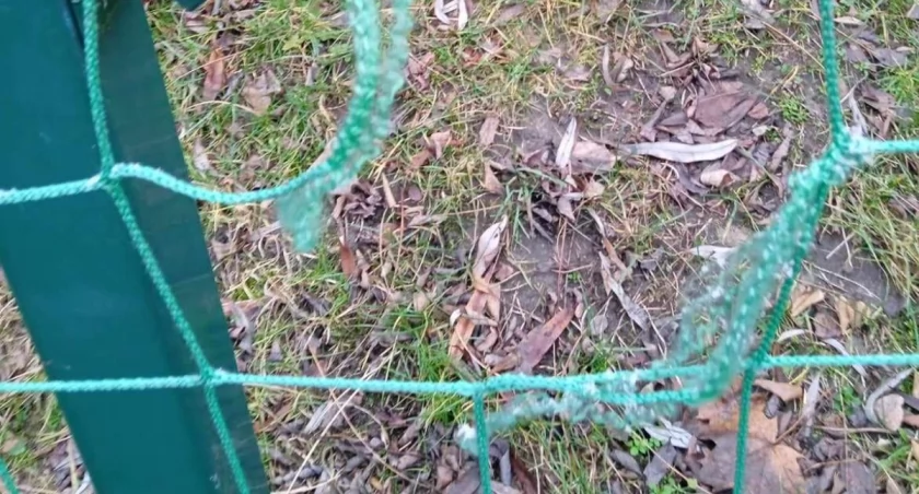 Dewastacja na boisku Szkoły Podstawowej nr 1
