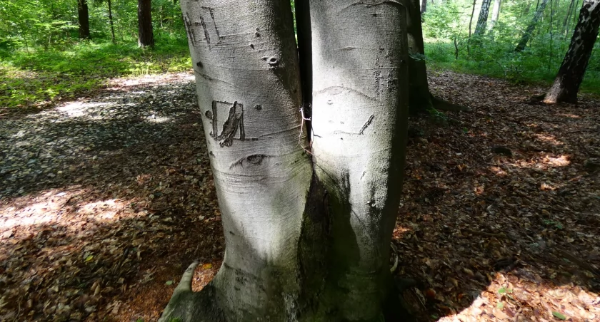 Na południe od Lędzin