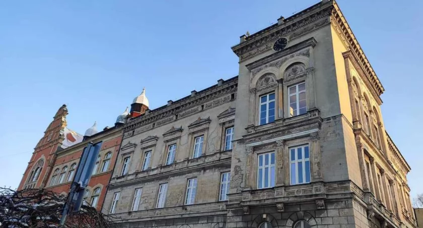 Wróżbita Darek