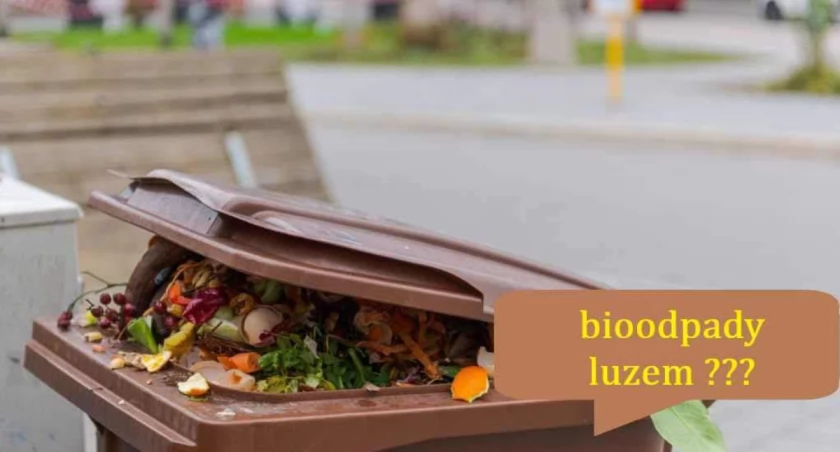 Bioodpady tylko luzem