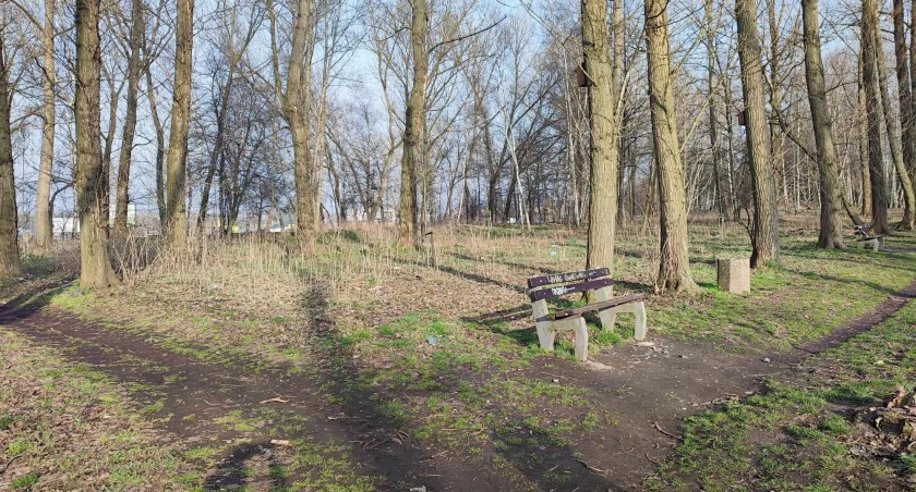 Zaśmiecony skwer w dzielnicy Bończyk-Tuwima