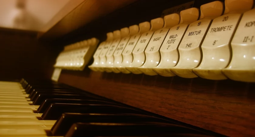 Wielkopostne koncerty organowe w Brzęczkowicach i Morgach