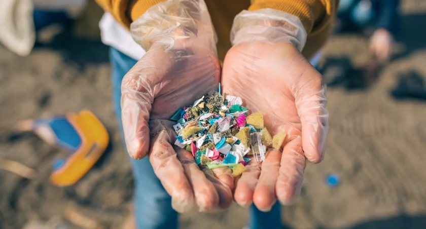 (Nie)widoczny problem, czyli jak plastik trafia na nasze talerze