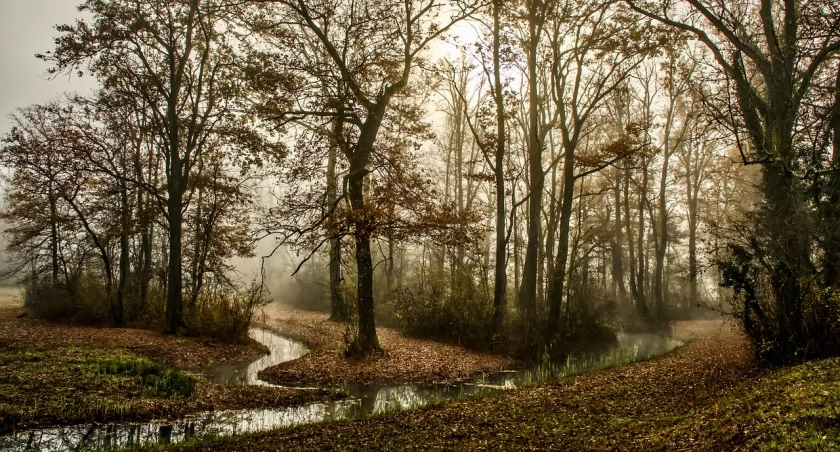 Utopek z kosztowskij strugi. Legendy i podania z terenu obecnych Mysłowic