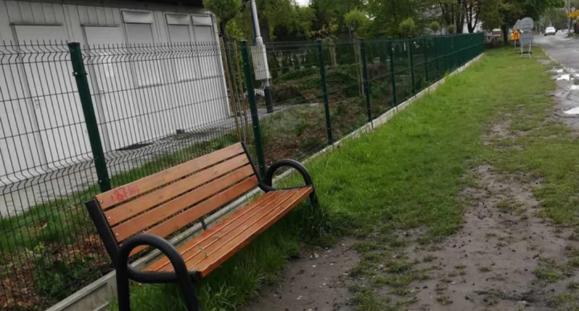 Dlaczego wycięli drzewa przy cmentarzu?