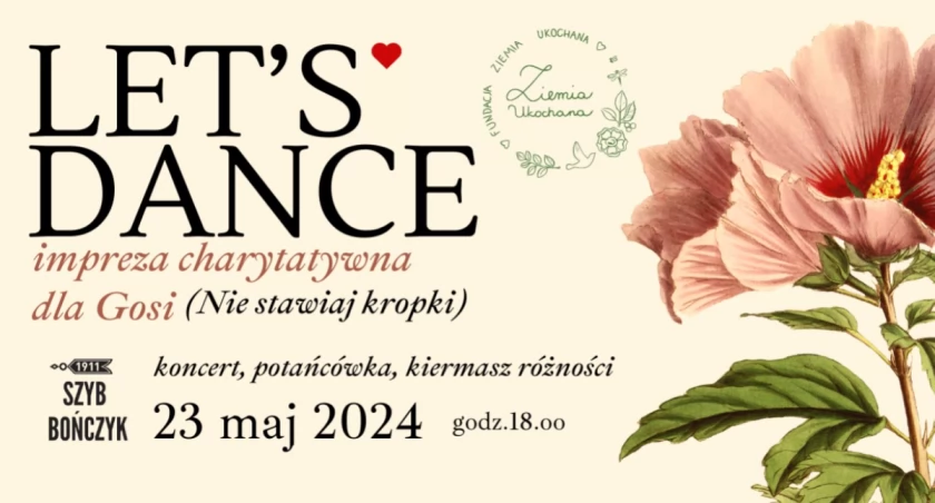 Charytatywna impreza dla Gosi