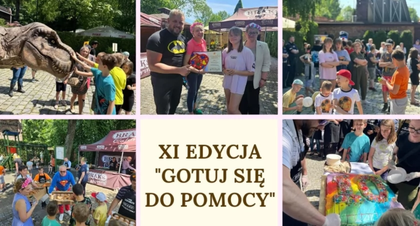 XI edycja akcji 
