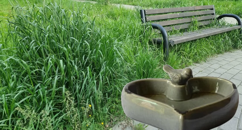 Poidełko dla ptaków i małych zwierząt w Parku Bończyka - może warto naśladować?