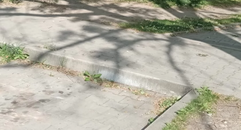 Rozwiązania na miarę miasta