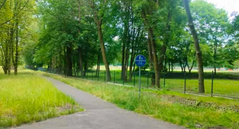 Czy tej sytuacji można było uniknąć?