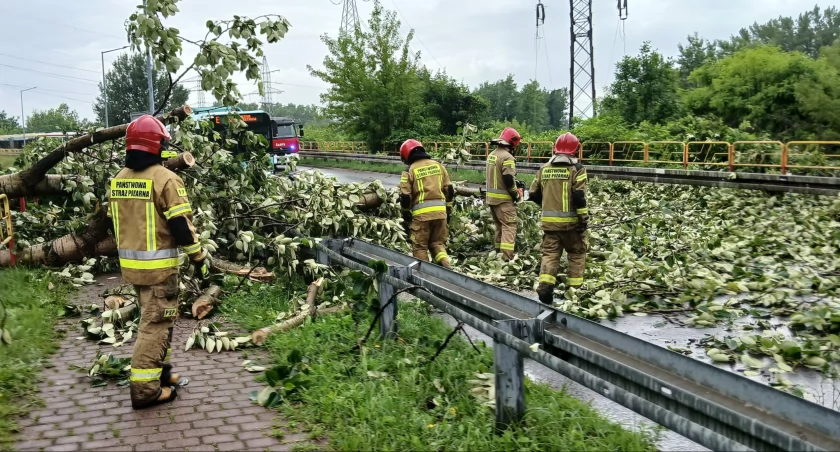 Połamane drzewa i zerwana linia energetyczna po burzy