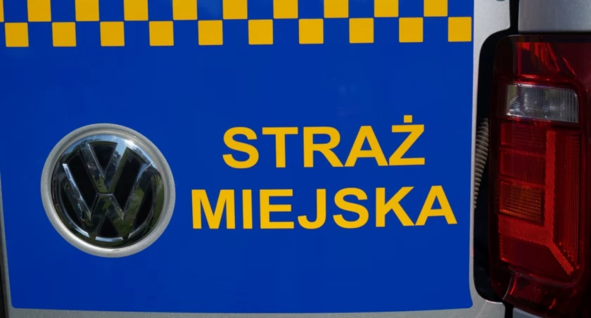 Jest praca dla strażnika miejskiego