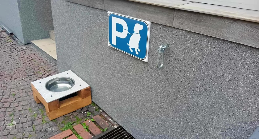 Zaparkuj i napij się - udogodnienia dla czworonogów przy mysłowickich Żabkach