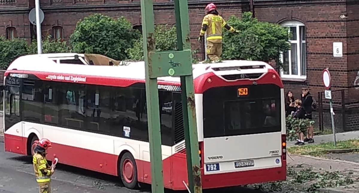 Konar drzewa spadł na autobus