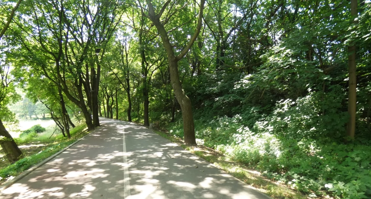 Promenada w Mysłowicach 2024