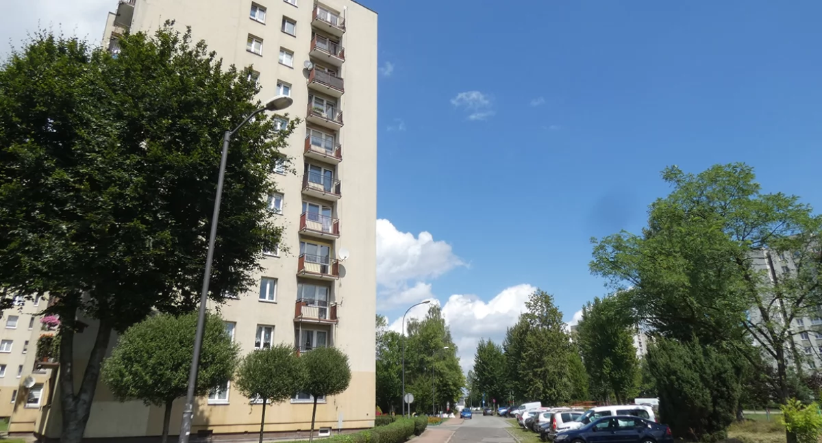 Osobliwie o wiśni osobliwej