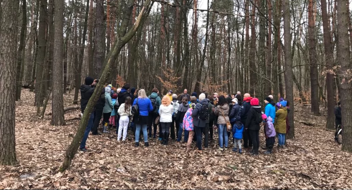 Zespół ma wyznaczyć lasy o wiodącej funkcji społecznej wokół miasta Katowice