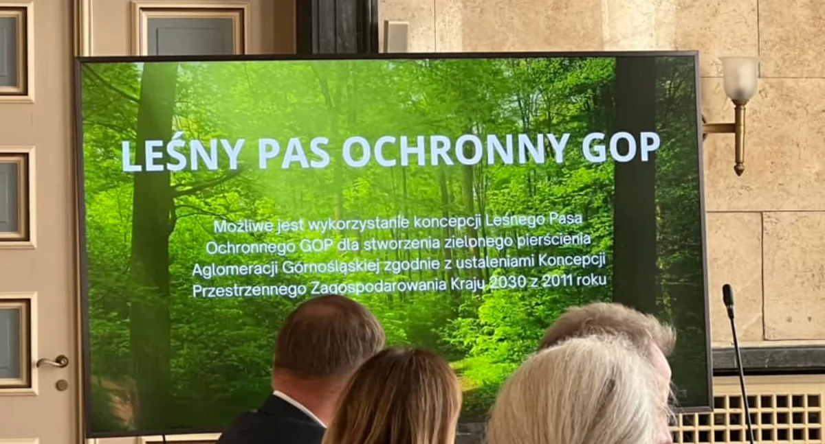Trwają prace nad wyznaczaniem lasów społecznych. Mysłowiczanie mają w nich swój udział
