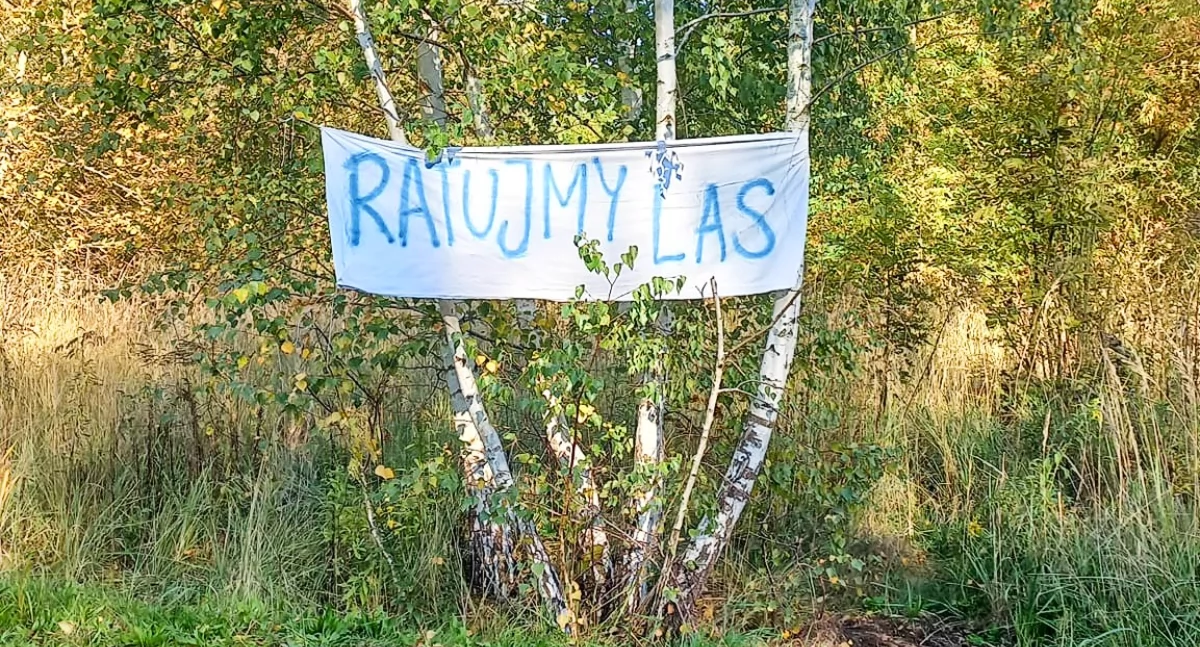 Ratujmy brzęczkowicki las - dzisiaj na żywo w TVP3