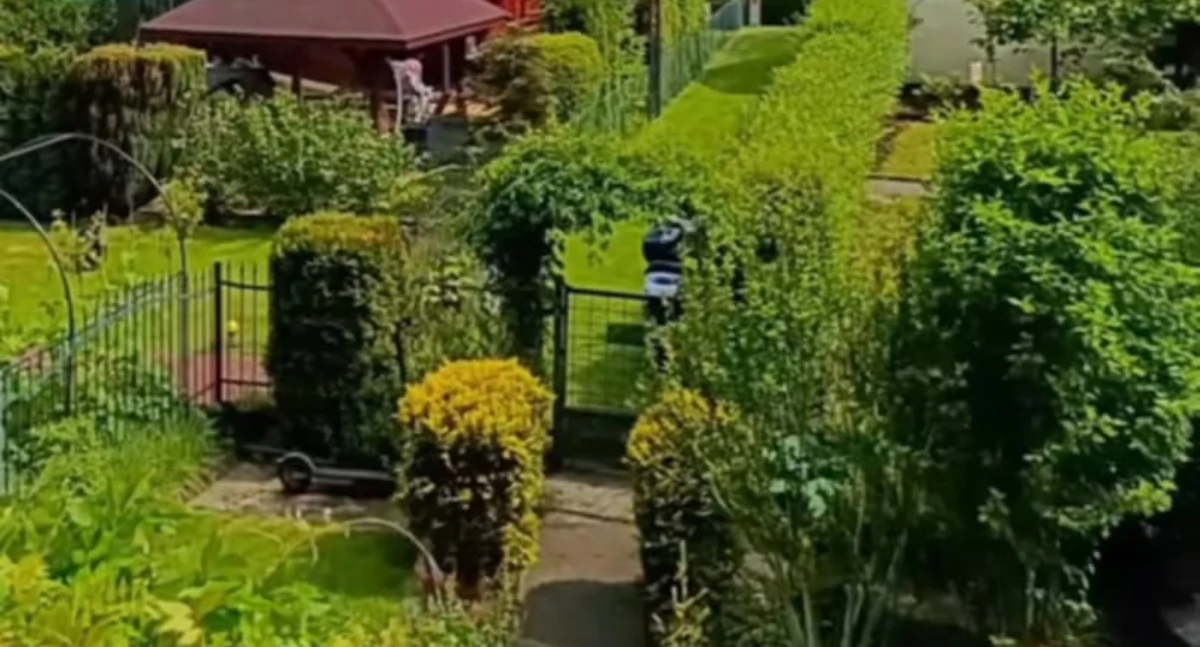 Policja apeluje do działkowców!