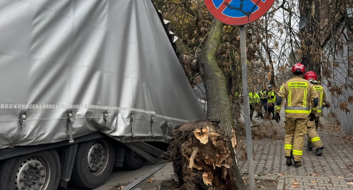 Drzewo przewróciło się na naczepę TIR-a