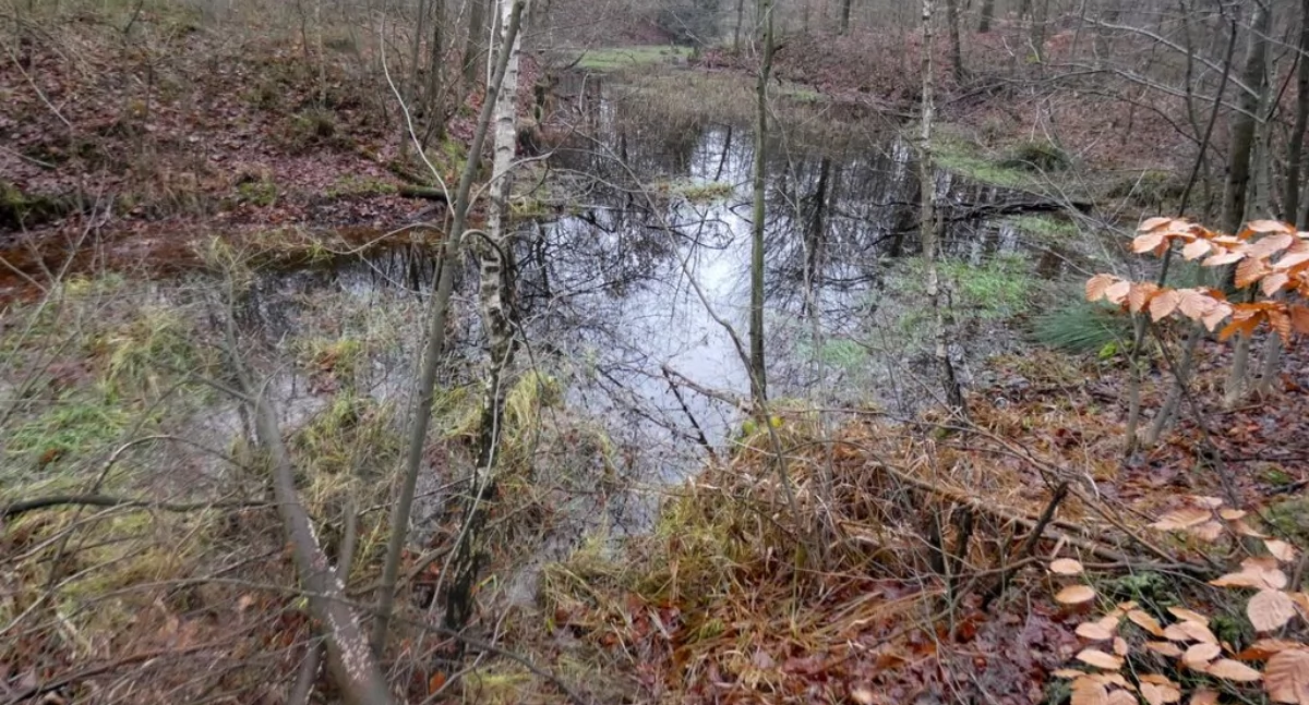 U źródeł Boliny Południowej