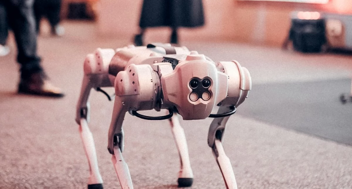 Amerykański pies-robot – co o nim wiemy?