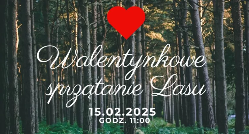 Walentynkowe sprzątanie w Mysłowicach – zakochaj się w lesie!