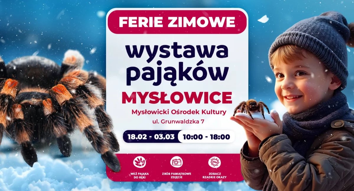 Oko w oko z pająkami. Wkrótce wystawa w Mysłowickim Ośrodku Kultury