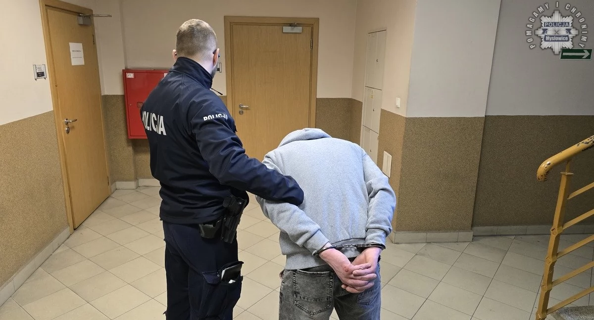 Seryjny włamywacz trafił do aresztu