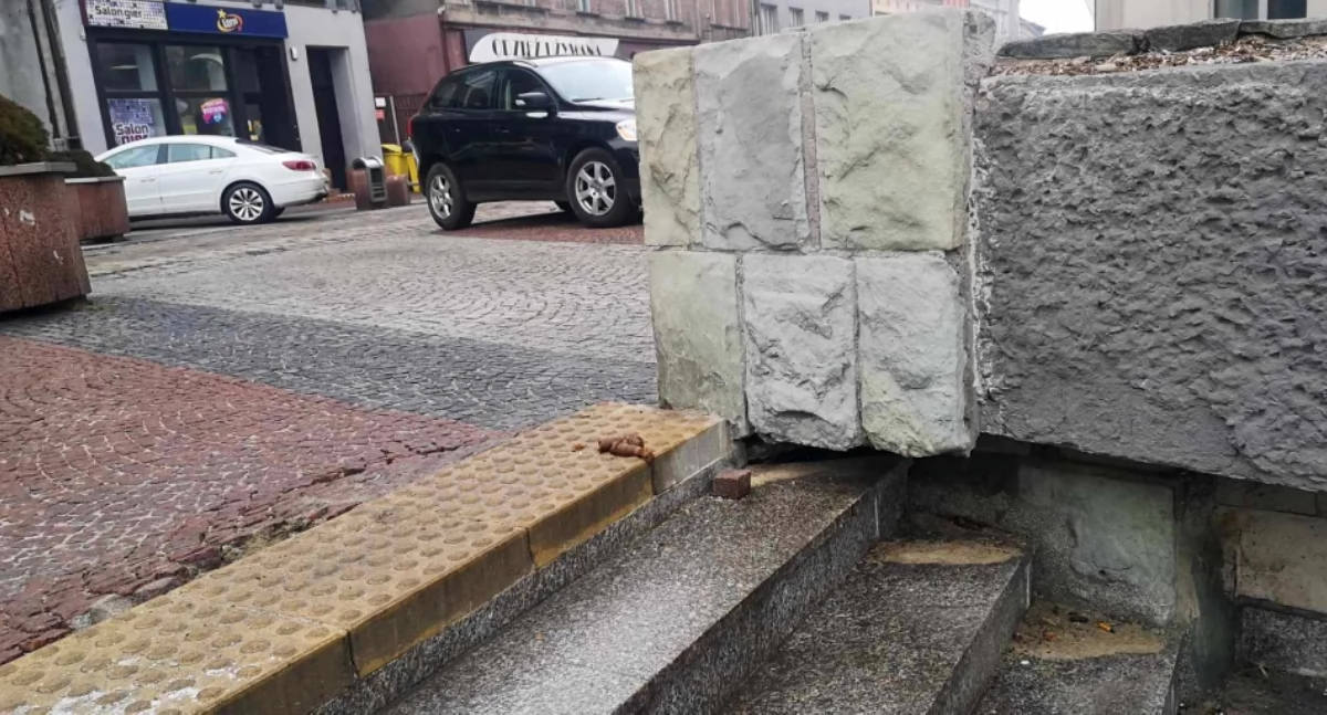 Śmierdzący problem na chodnikach i trawnikach