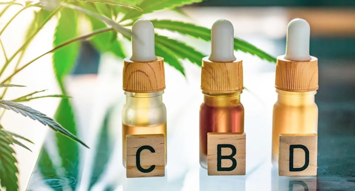 Olej CBD – naturalne wsparcie dla zdrowia i dobrego samopoczucia