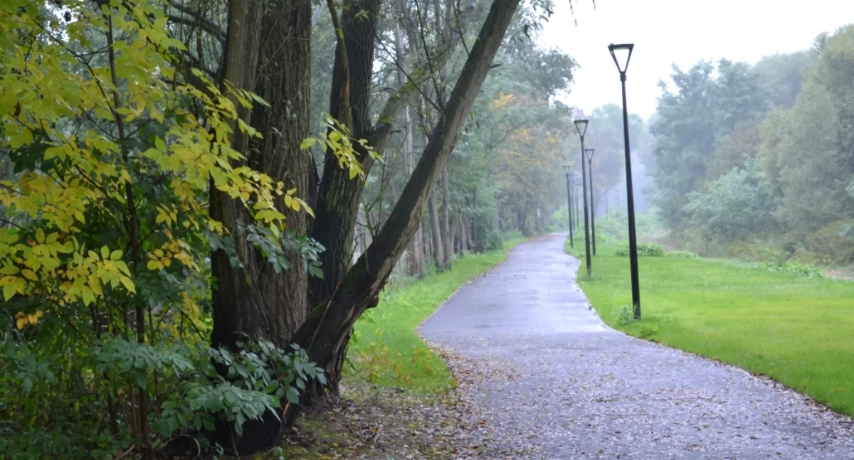 Posadzą na Promenadzie 500 drzew