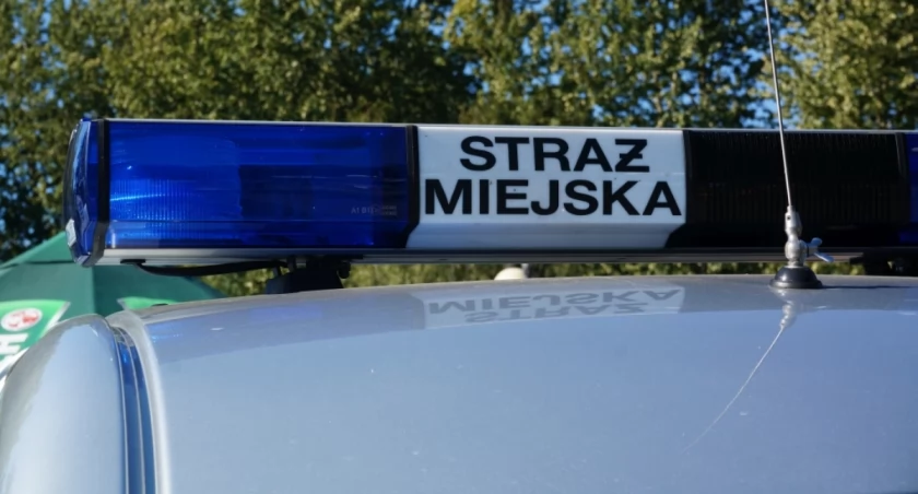 Fotopułapka pomogła w zatrzymaniu złodzieja