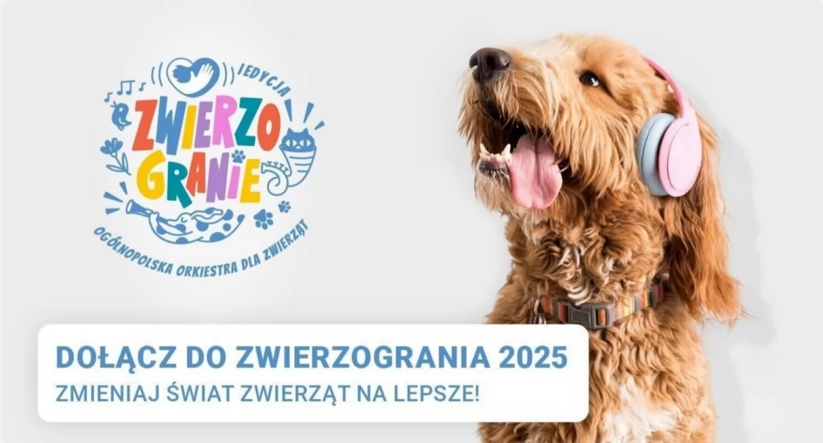 Zwierzogranie - wielki finał ogólnopolskiej orkiestry dla zwierząt już 18 maja w Sosnowcu