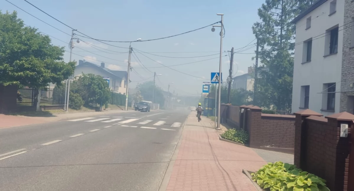 Pożar na posesji w Morgach. Gęsty dym ograniczył widoczność