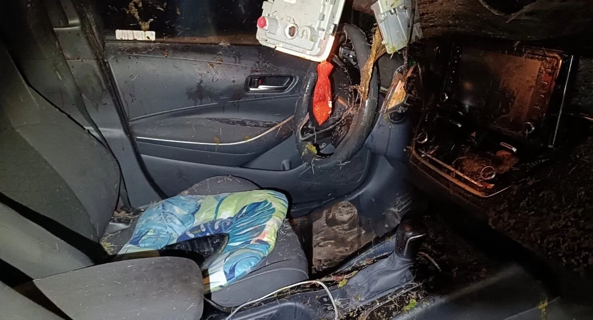 Samochód zderzył się z łosiem na trasie S1. Kierowca został ranny