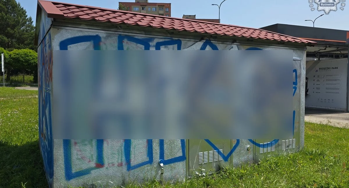 Pseudograficiarz zatrzymany. Odpowie za zniszczenie elewacji