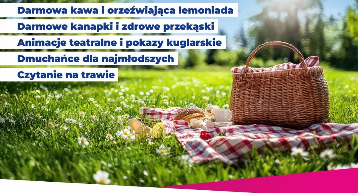 Poranek na Górce Słupeckiej