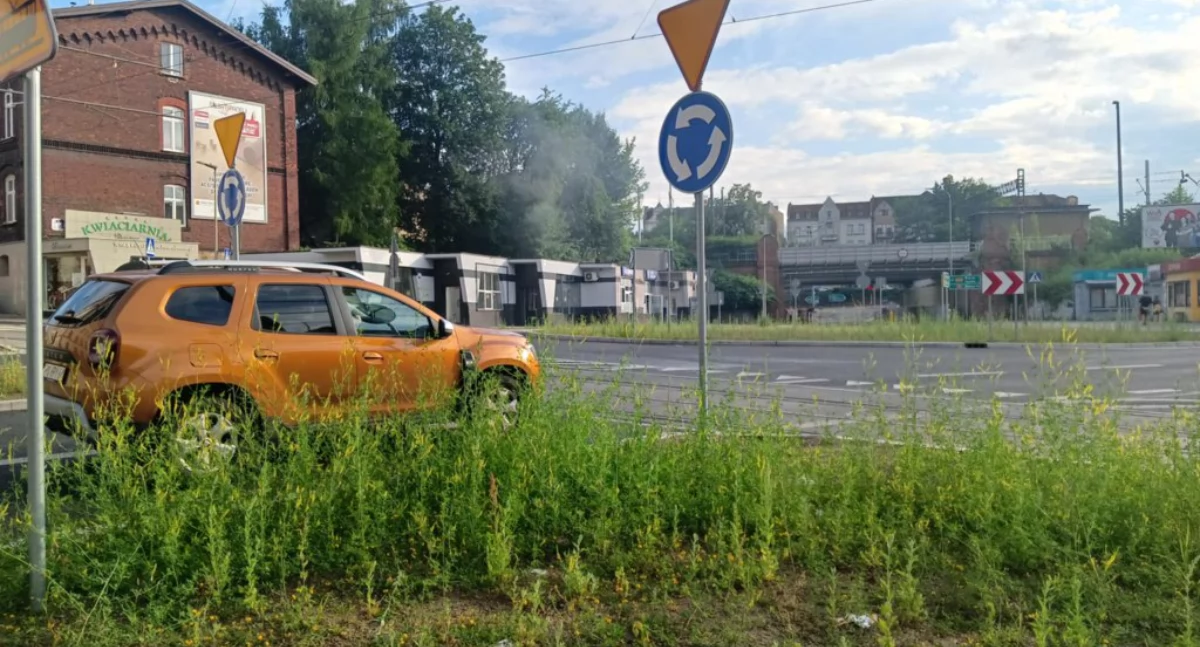 Rondo Solidarności chwastów