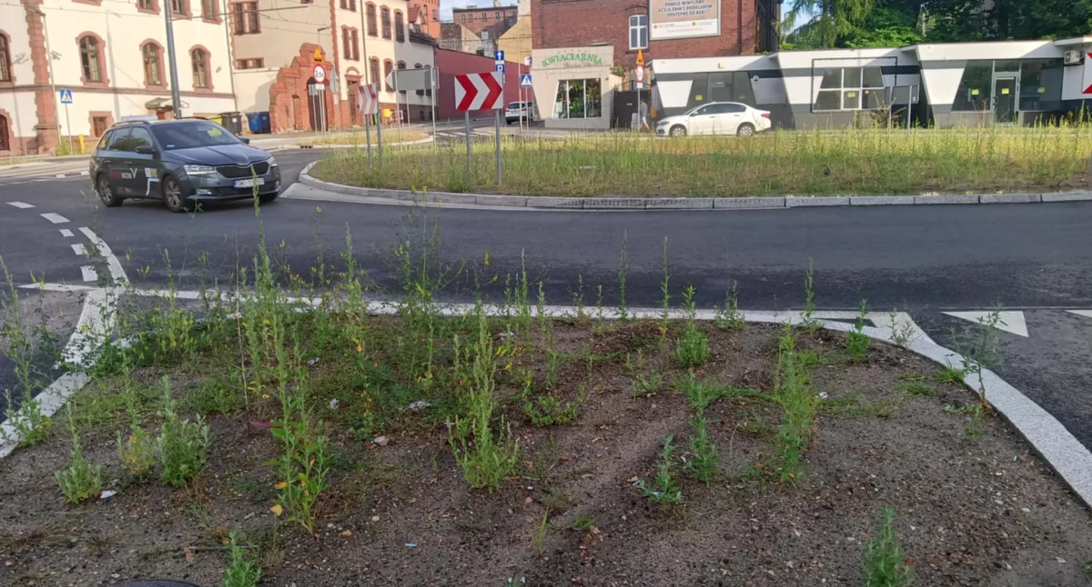 Będą porządkować rondo w Centrum