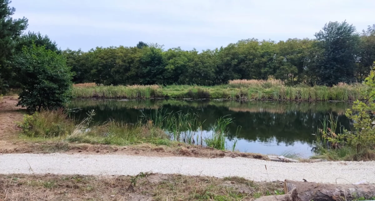 W Kosztowach powstaje ekologiczny park. Unikatowa inwestycja firmy Logicor