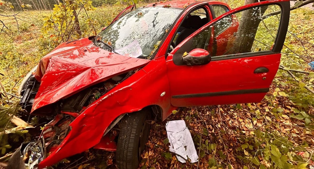 Zjechał z drogi i uderzył w drzewo