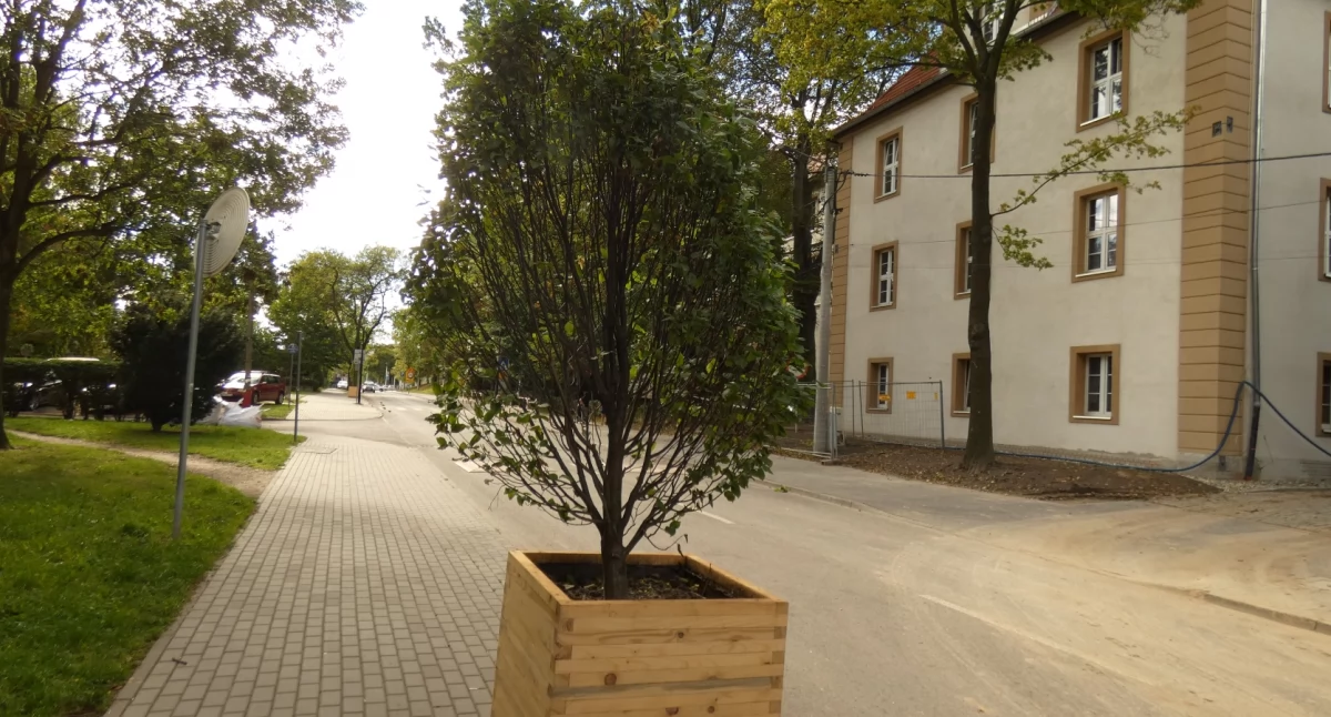 Graby skrzynkowe