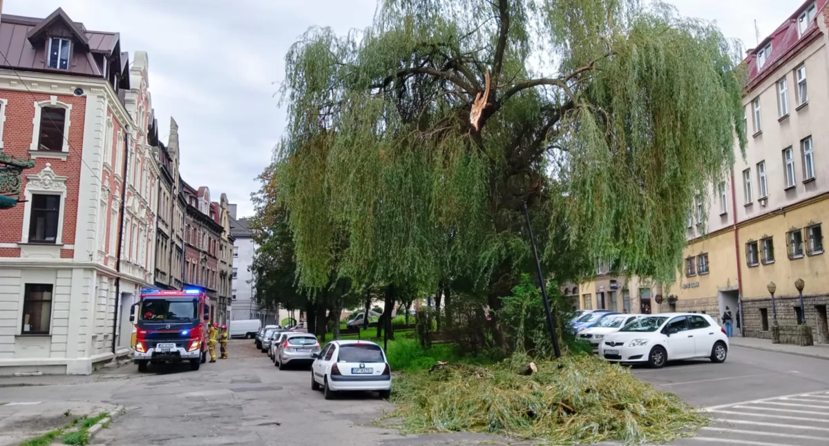 Wichura w Mysłowicach. Połamane drzewa, uszkodzone samochody, awarie prądu