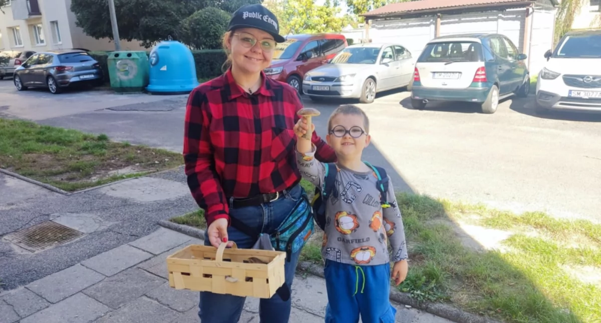 Udane zbiory w Mysłowicach. Jesień to raj dla grzybiarzy.