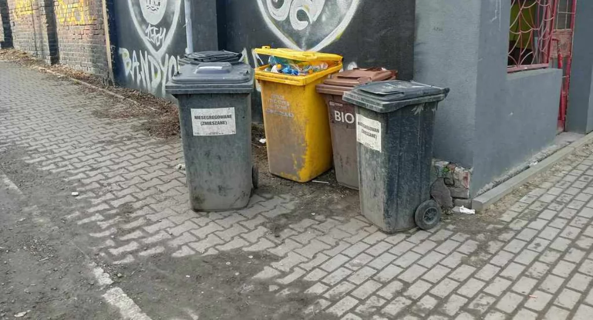 Deklaracje śmieciowe pod kontrolą