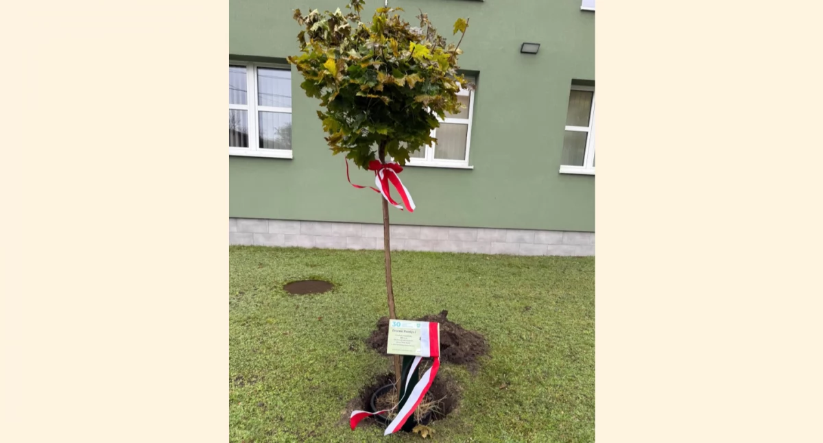 Posadzili Drzewo Pamięci