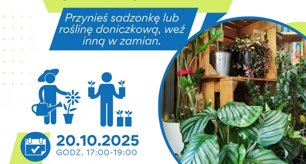 Sąsiedzka wymiana roślin w Alternatywie